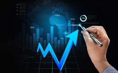 Les vins millésimés : L&rsquo;investissement qui s&rsquo;apprécie avec le temps