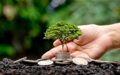 Comment investir intelligemment : les clés pour maximiser vos gains financiers