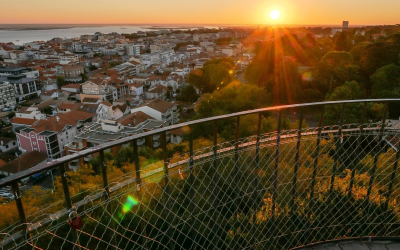 Arcachon maintient des prix records malgré un recul des ventes