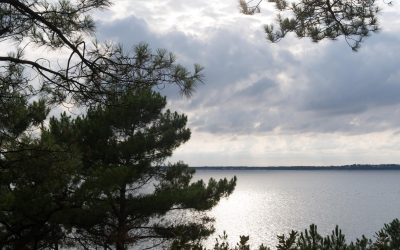 Arcachon, eldorado immobilier 2024 : m² record et demande vorace